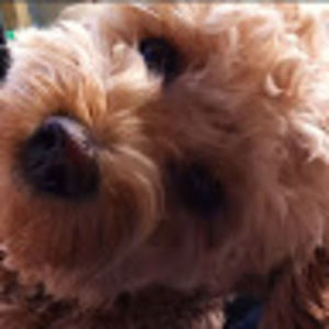 Meet your Posher, Andrea & sunny